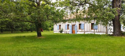 Sabres House | Riban