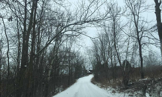 Genoa House | Ridgehaven is a peaceful, secluded cabin on 40 beautiful wooded acres
