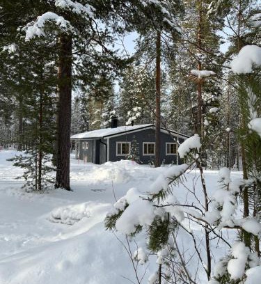Pyhatunturi Ski Chalet | Riekonsoppi, two bedroom private cabin