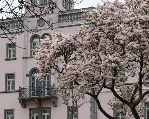 Meissen House | Rittergut Rottewitz