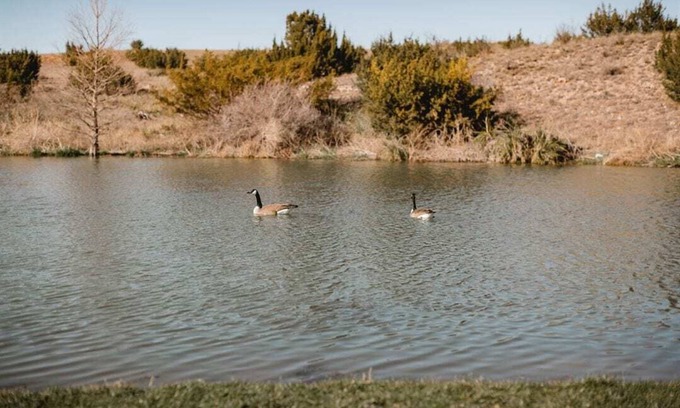Amarillo Cabin | River Falls Venue & Lodges One-Bedroom Lodge