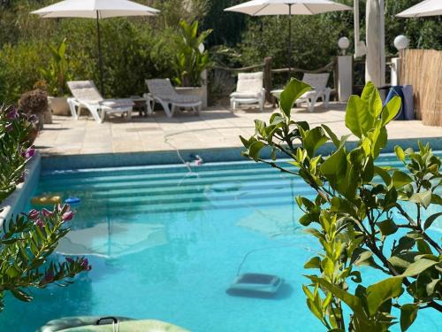 Coin Other | River Heart Lodges