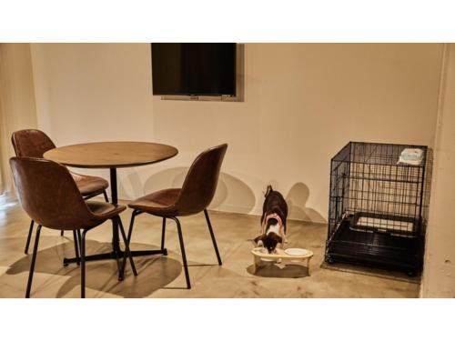 Arashiyama Hotel | River Side Arashiyama - Vacation STAY 86277v