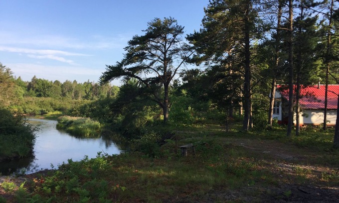 Paradise Cabin | Rivers Edge/Off Grid/Bird Watching Summer Paradise