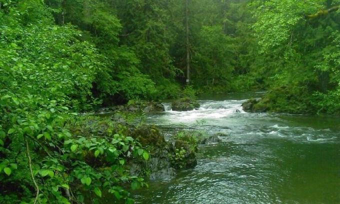 Shawnigan Lake House | ~♡RIVERSIDE Adventures./3+Den BR Cabin Offgrid. Pet &Family/Toddler Friendly.
