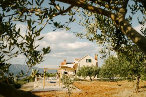 Pucisca House | Robinson Holiday House Rot