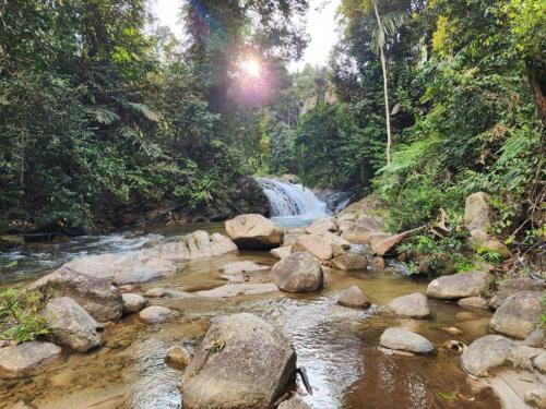 Bentong Resort | Rock Forest Chalet