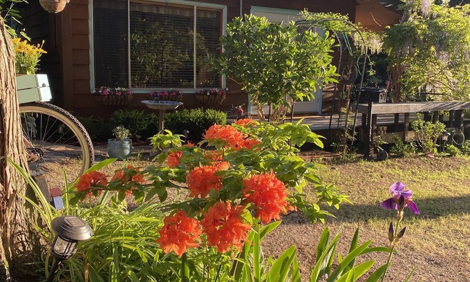 Halfmoon Bay Cottage | Romantic Cottage with a covered Gas Fire Pit, 10 min walk to Sargeant Bay Beach