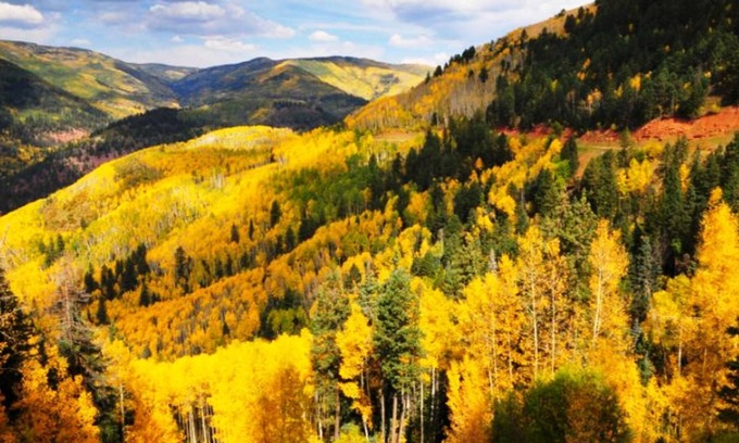 Divide Cabin | Romantic Forest Hideaway, Hot Tub, WiFi, Directv, near Attractions & Breweries!