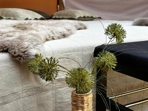 Idestrup Other | Romantic Luxus Glamping 3