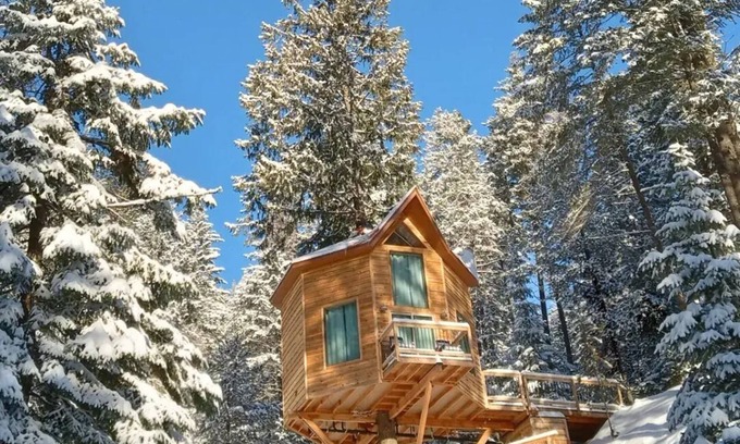 Newport Apartment | Romantic Treehouse Getaway with Peaceful Mountain Views!
