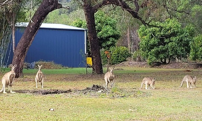 Agnes Water House | Roo Or 2 on Streeter