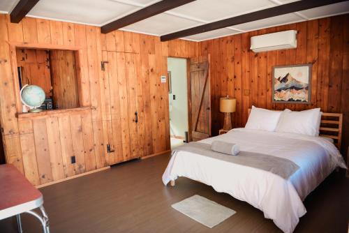 Joshua Tree Hotel | Room 6 - Downtown Joshua Tree Motel - Pet Friendly - Walk to Shops & Visitor Center, Minutes to Park Entrance