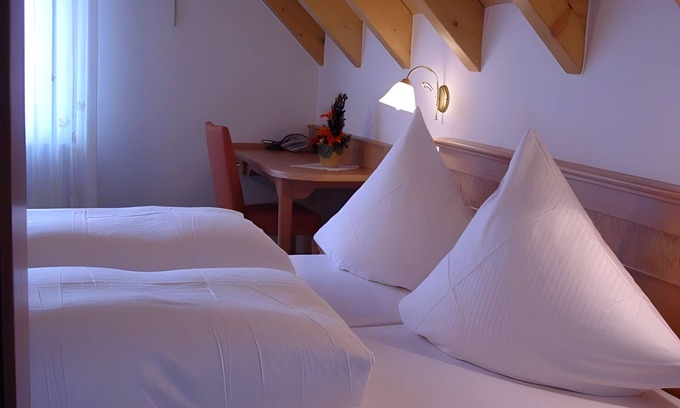 Elzach Apartment | Room 'Doppelzimmer' with Shared Terrace and Wi-Fi