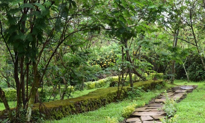 Nyakinama House | Room in B&B - Red Rocks Rwanda - Tent Twin