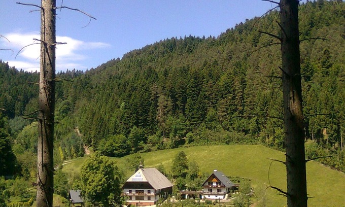 Hornberg Apartment | Room 'Talblick' with Mountain View, Balcony and Wi-Fi