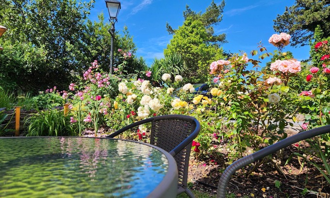 Babbacombe Apartment | ROSE COURT HOLIDAY APARTMENTS