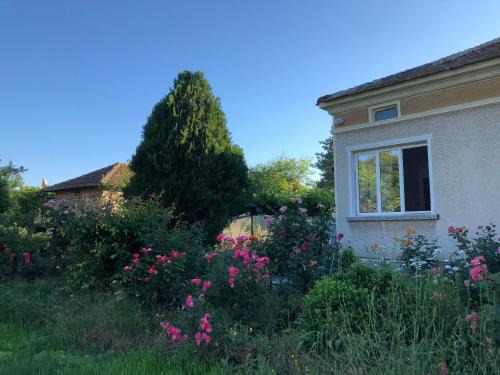 Osenovo House | Rose garden