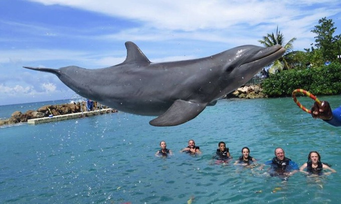 Boscobel House | Royal Palm Luxurious king-size bed spacious bedroom with spectacular view