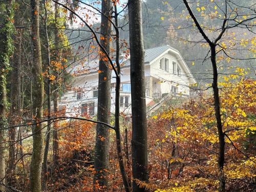 Waldegg Apartment | Ruhepol in den Voralpen