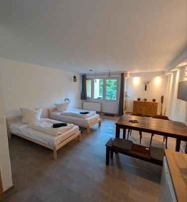 Sonnenberg Apartment | Ruhiges 1 Zimmer Appartement mit Terasse Chemnitz