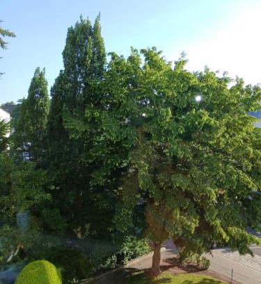 Mitte Apartment | Ruhiges Appartment am Stadtpark
