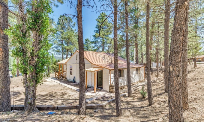 Ruidoso Cabin | Ruidoso Cabin - Walk to Local Park + Downtown
