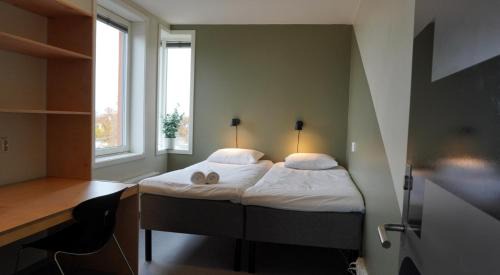 Trondheim Hostel | Rumi Hostel