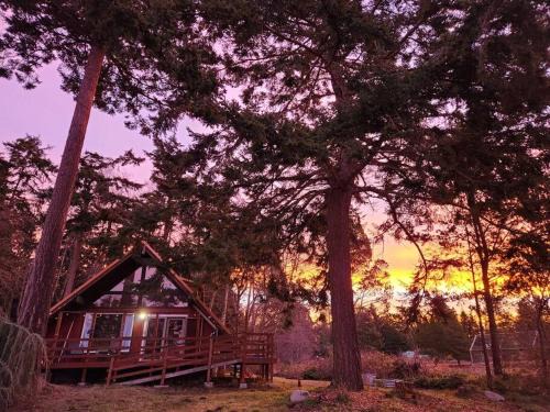 Oak Harbor Ski Chalet | Rustic A-Frame hot tub retreat near Deception Pass