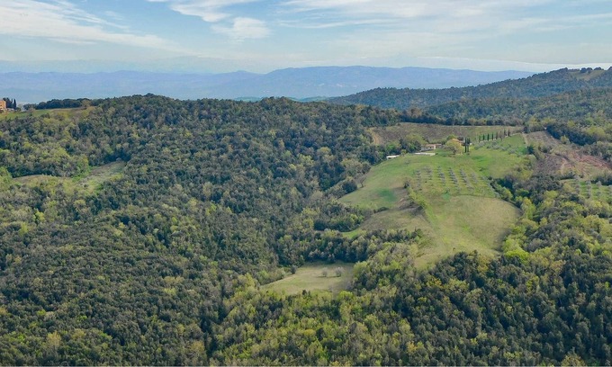 Campagnatico Apartment | Rustic accommodation in nature for four people with pet in the middle of Tuscany.