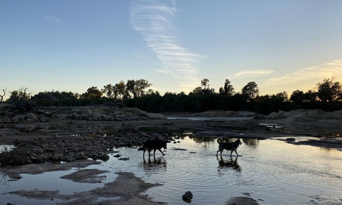 Navasota RV Rental | Rustic cabin hideaway above Hidalgo Falls on the Brazos River