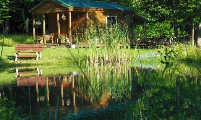 Wellsville Cabin | Rustic cabin, solarpower, heated, hiking, 3ponds,wildlife, dark skies/stargazing