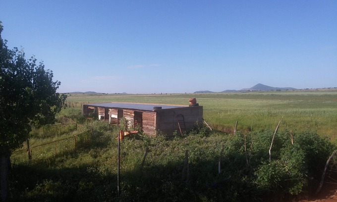 Cuauhtemoc Cabin | Rustic cabin surrounded by nature