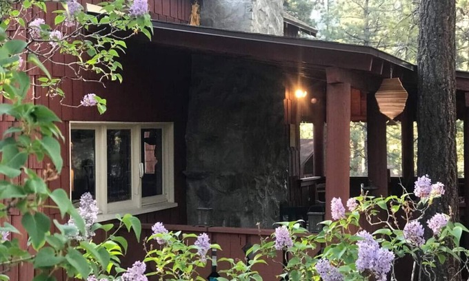 Wrightwood Cabin | Rustic Retreat|Pets OK, Near Village, Fireplace