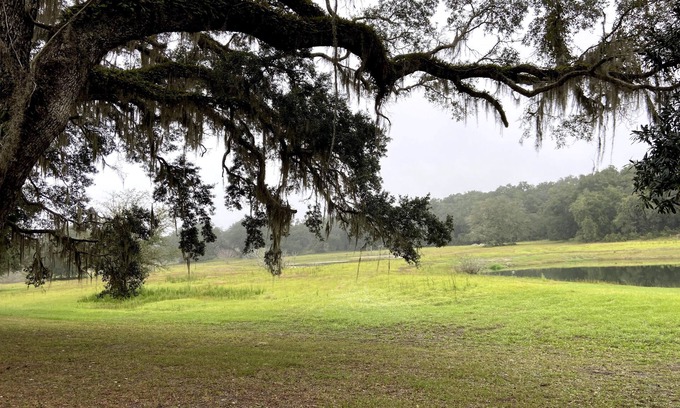 Old Town Other | Rustic Retreat: Ranch Home with 40 Private Acres and Covered Patios n