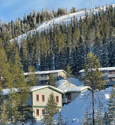 Stoten Apartment | SÄLEN, Ski in-Ski out, Lägenhet 8F Grå Byn