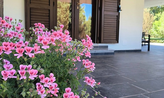 Iglesias House | S'ollastu Q4121 Cozy apartment in the green