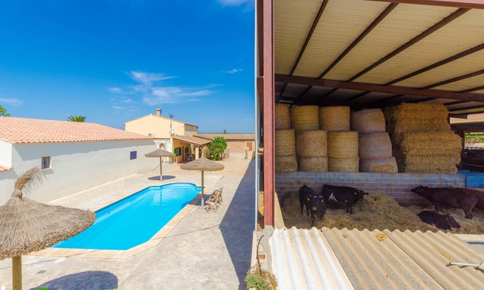Es Palmer House | SA CASETA DE SES VAQUES.SON COVAS (SA VAQUERIA 2) - Chalet with shared pool in CAMPOS. Fre