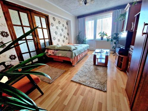 Sighisoara Apartment | Sabina Apartment