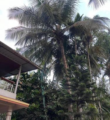 Chaul Apartment | Sadhana Homestay
