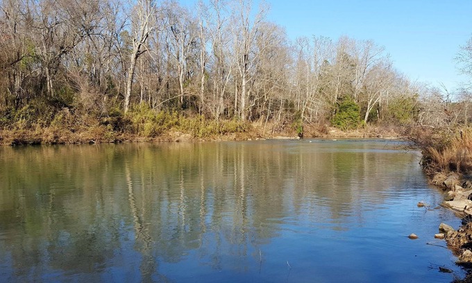 Battiest Cabin | Safari on Glover River with Private Riverfront Access and Hot Tub by RedAwning
