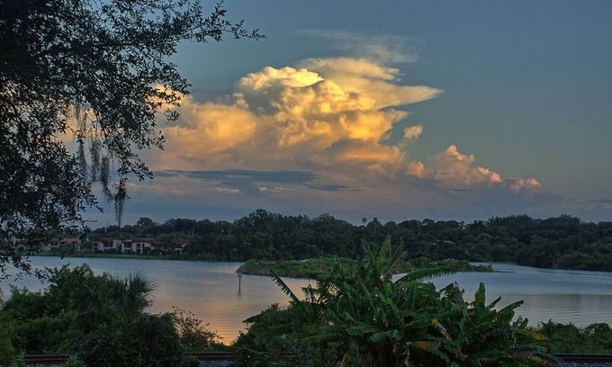 Safety Harbor House | Safety Harbor Bird House with Lake View