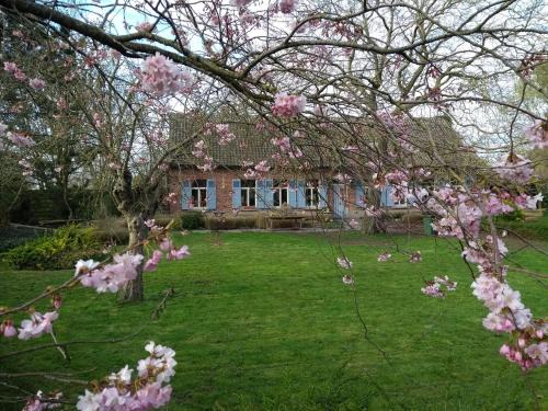 Zaffelare Apartment | Saffels Nest 33