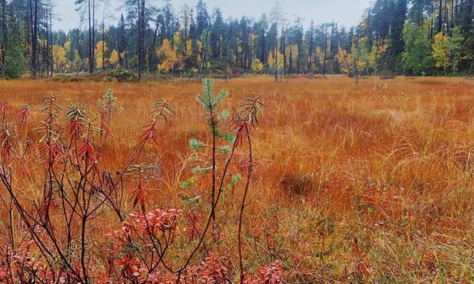 Salla House | Sallan Lumous A by Interhome