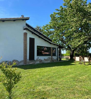 Nepi Villa | Salomonio hill