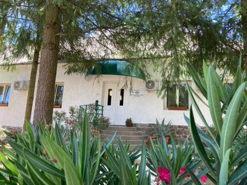Bukkszek Bed & Breakfast | Salvus Panzió