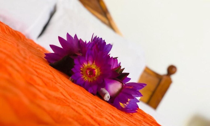 Polhena Resort | Samanala Resort