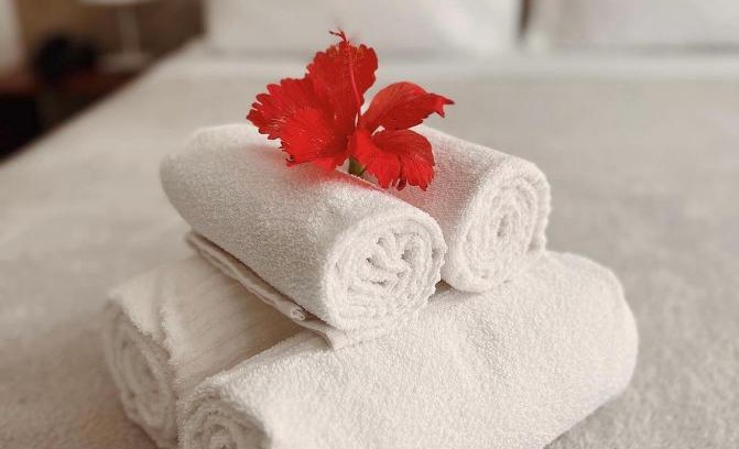 Capua Apartment | SambaSS Boutique Apartment