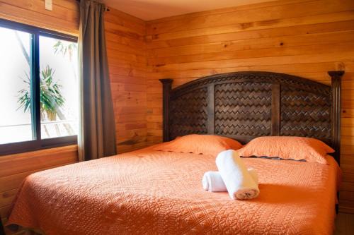 San Jose del Pacifico Ski Chalet | San José del Pacífico- Cabañas Camino al Cielo 2