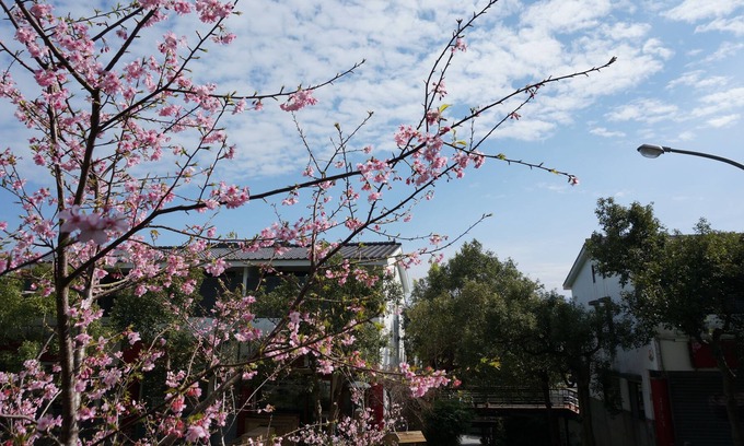 Sanyi Bed & Breakfast | Sanyi Happiness B&B